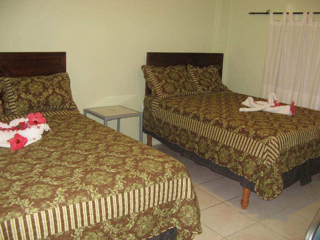 Executive Shaw Park Guest House Ocho Rios Zimmer foto